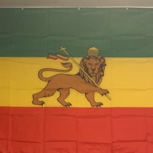 Meet your Posher, Alfred